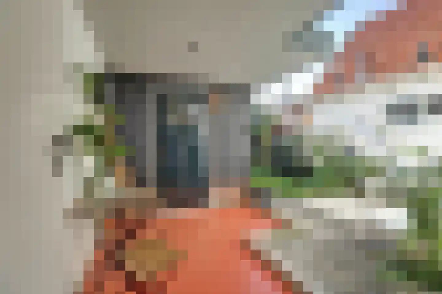 De Kamp 10 Woudsend thumbnail 28
