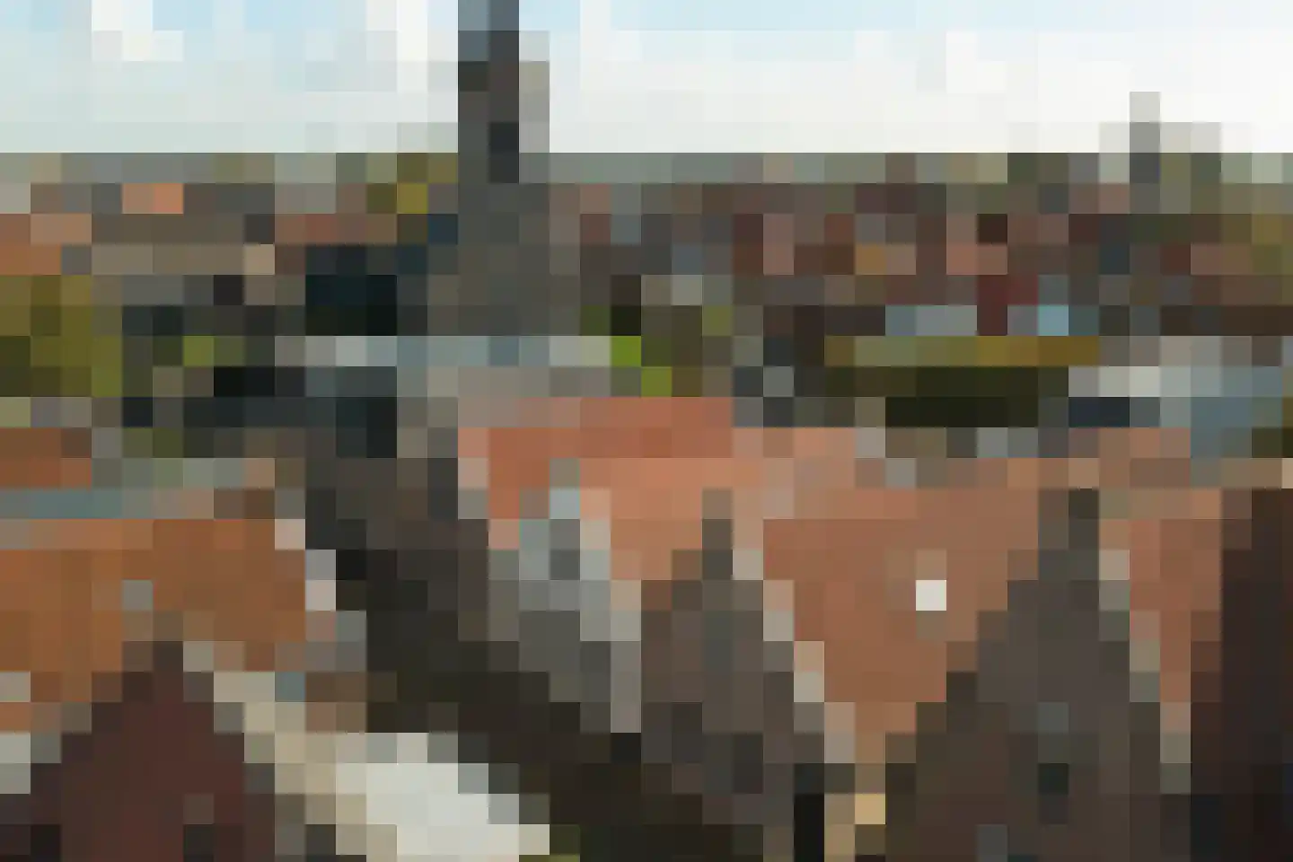 De Kamp 10 Woudsend thumbnail 34