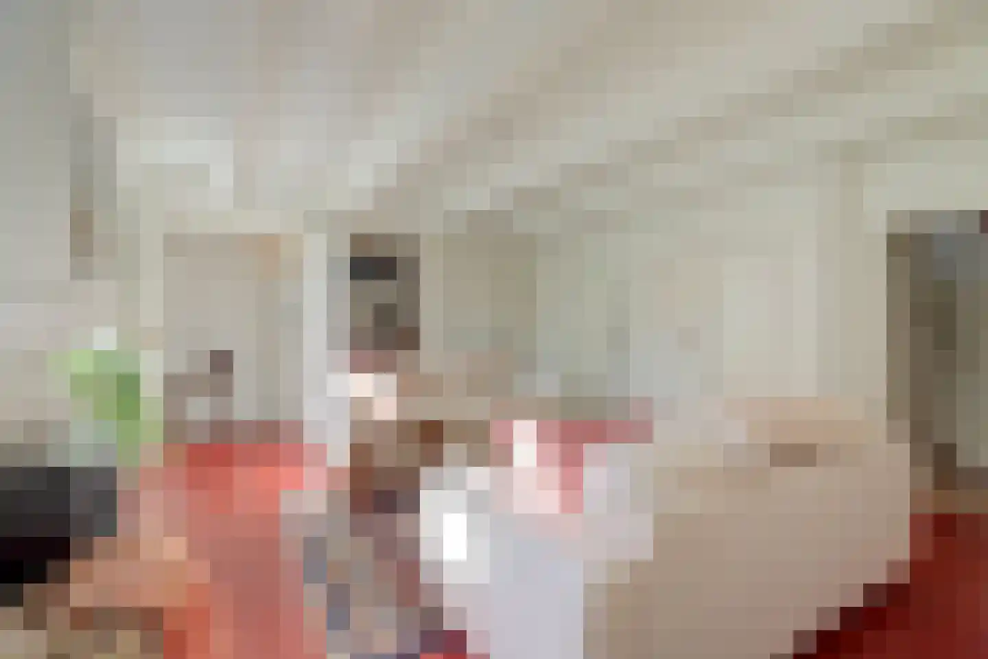 De Kamp 10 Woudsend thumbnail 8