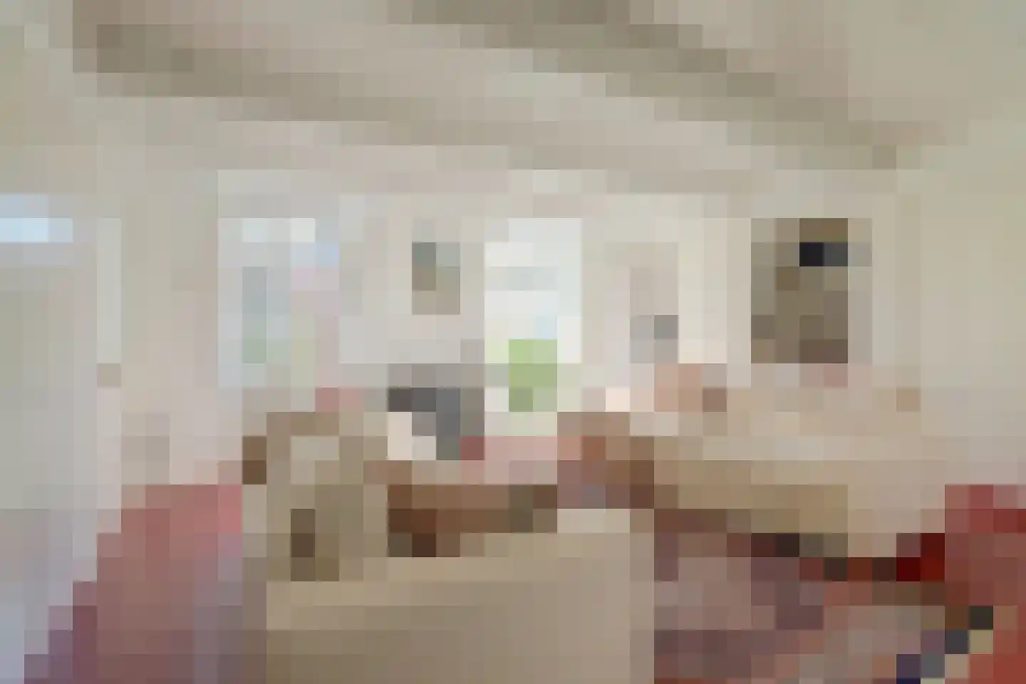 De Kamp 10 Woudsend thumbnail 9