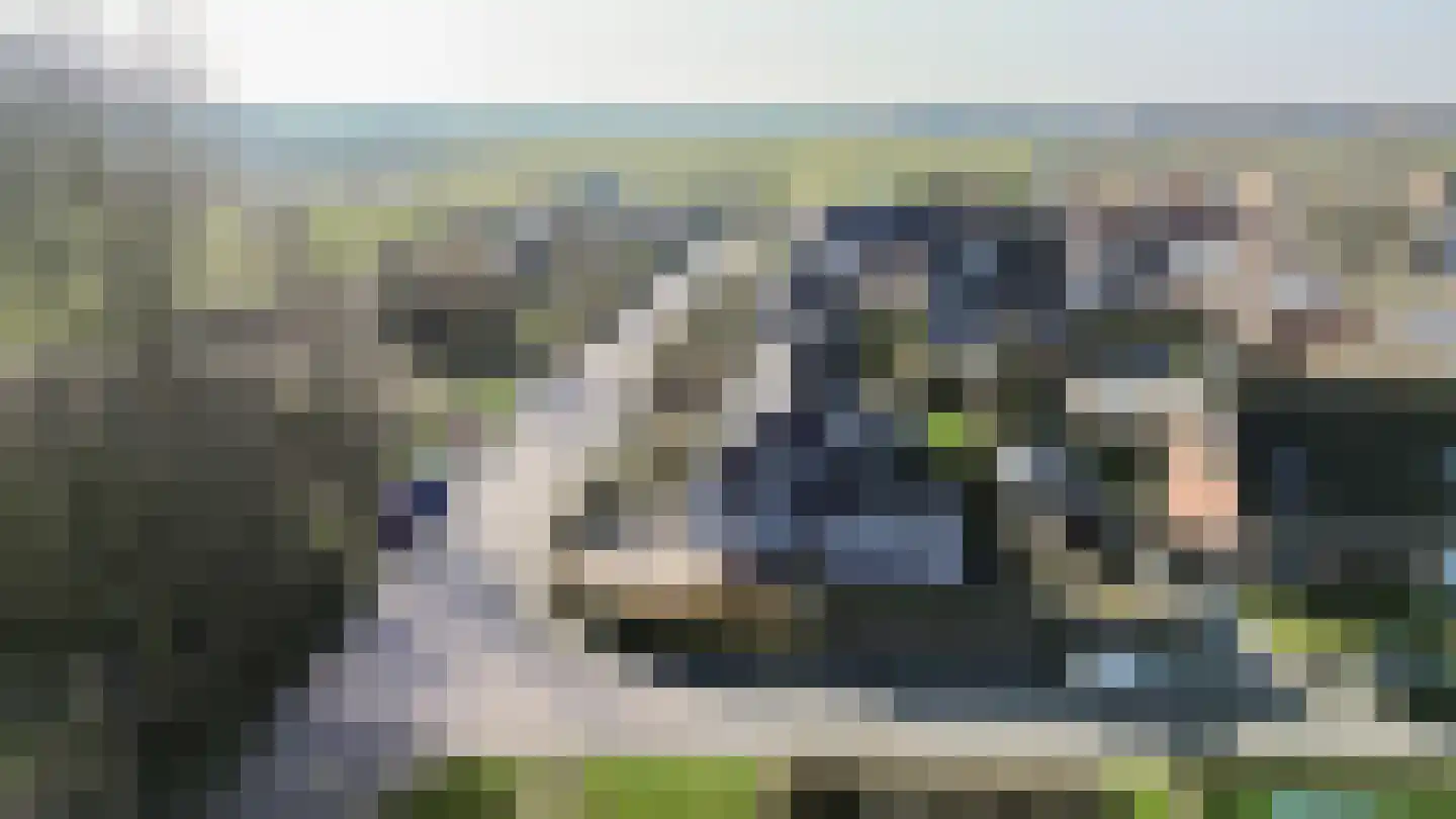 De Kamp 13 Tzummarum thumbnail 11