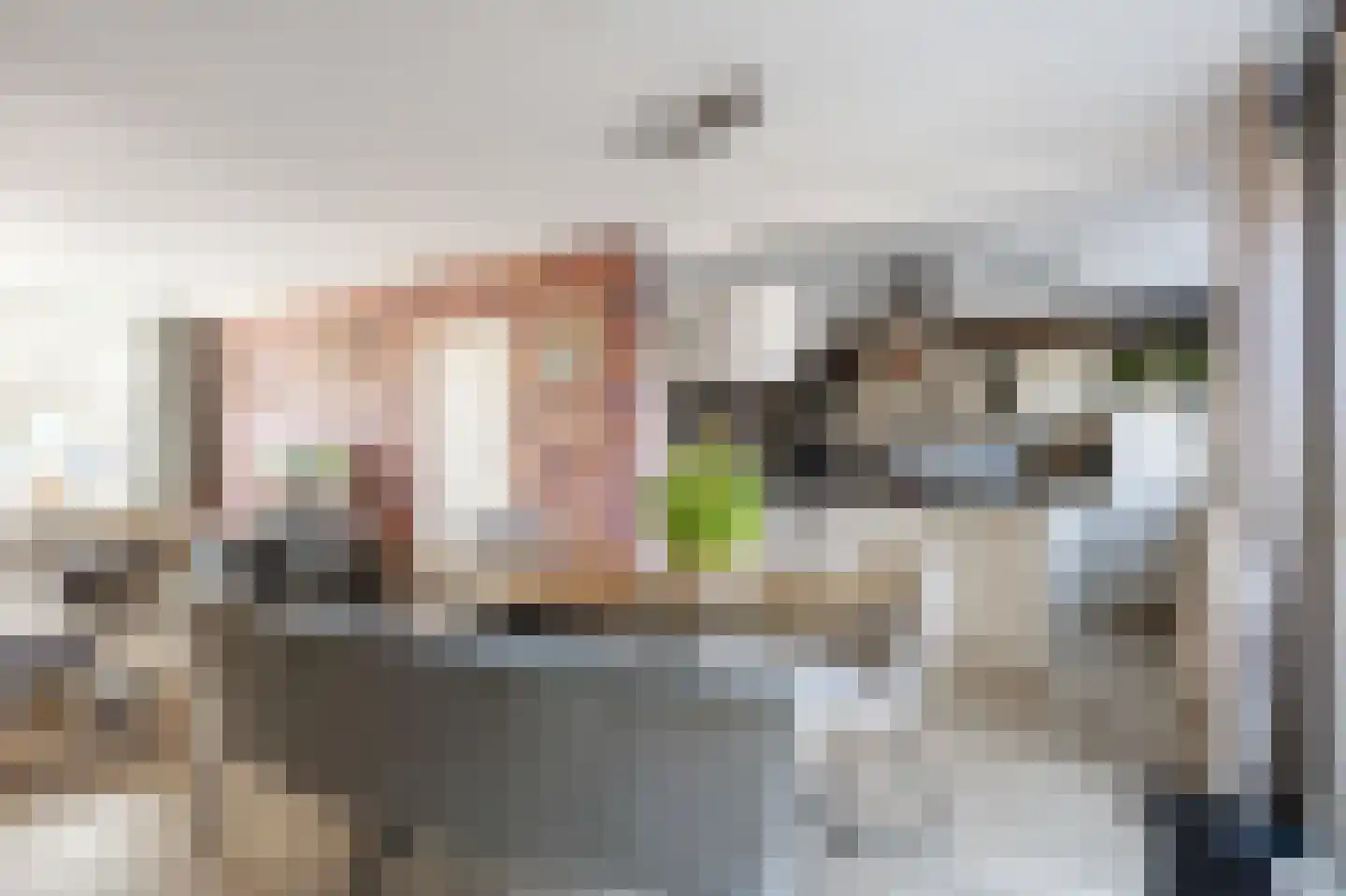 De Kamp 13 Tzummarum thumbnail 24