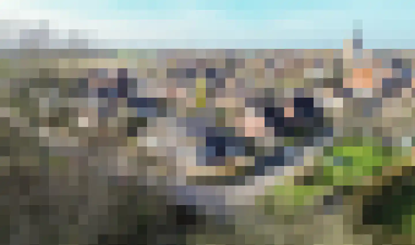 De Kamp 13 Tzummarum thumbnail 9