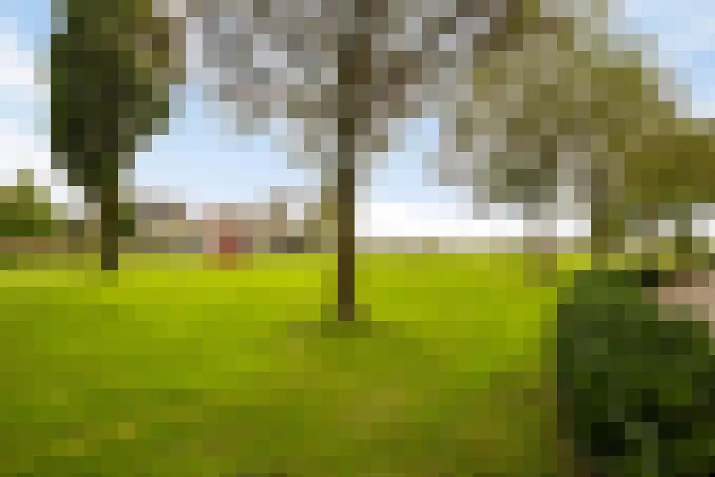 De Kamp 14 Millingen aan de Rijn thumbnail 19