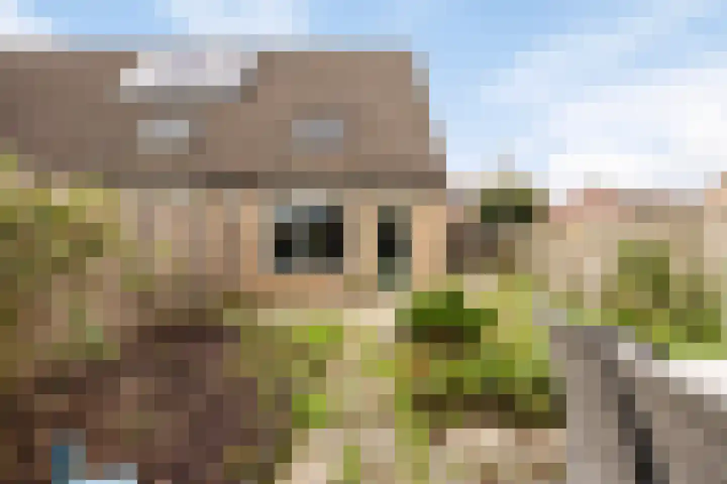 De Kamp 14 Millingen aan de Rijn foto 3