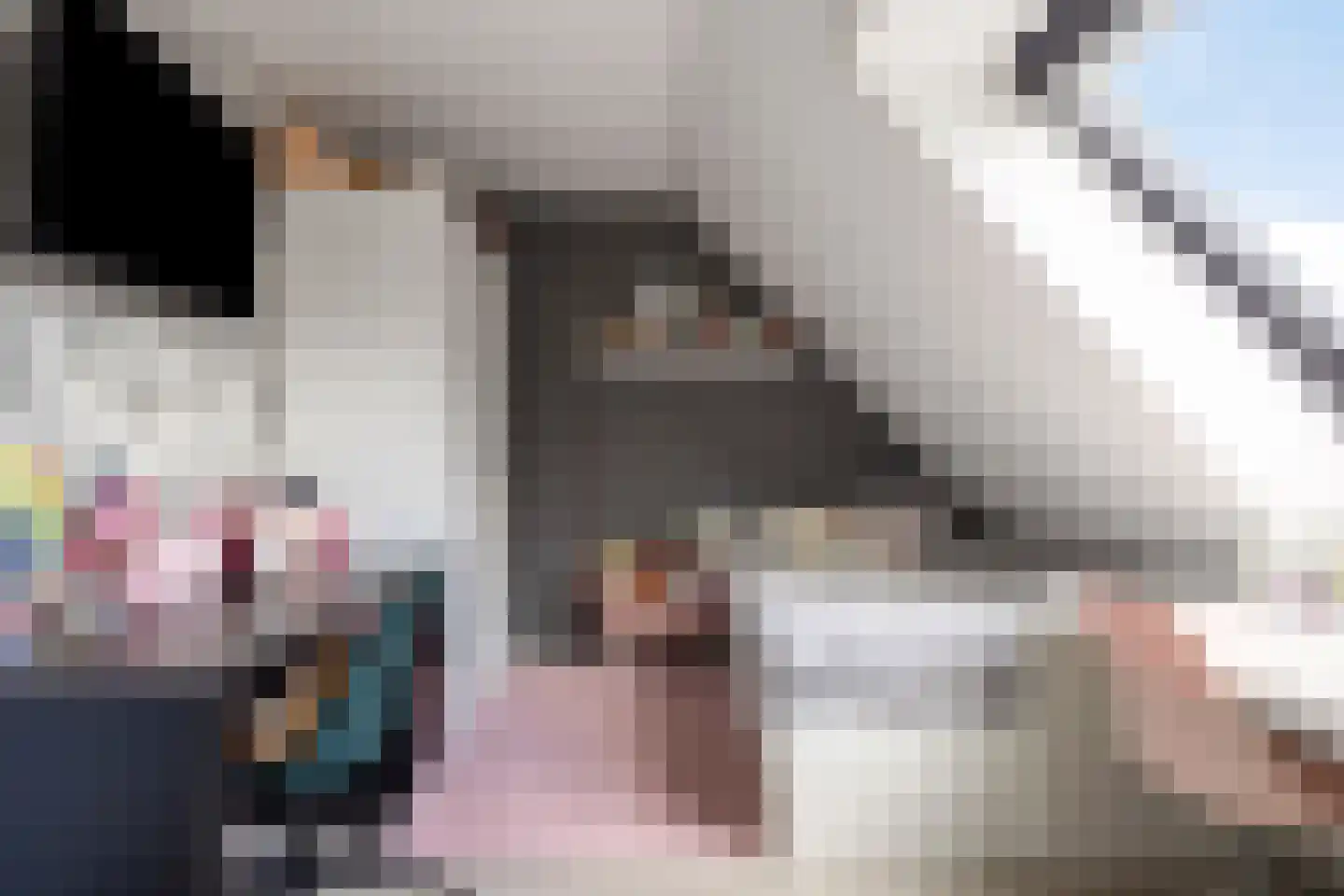 De Kamp 14 Millingen aan de Rijn thumbnail 9