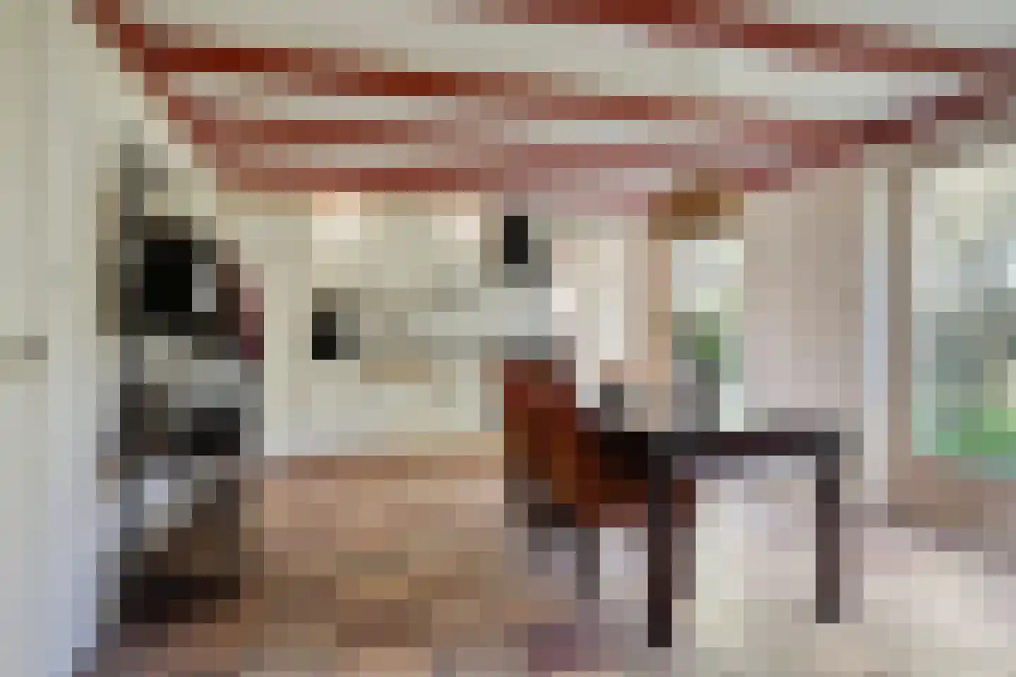 De Kamp 14 Pingjum thumbnail 10