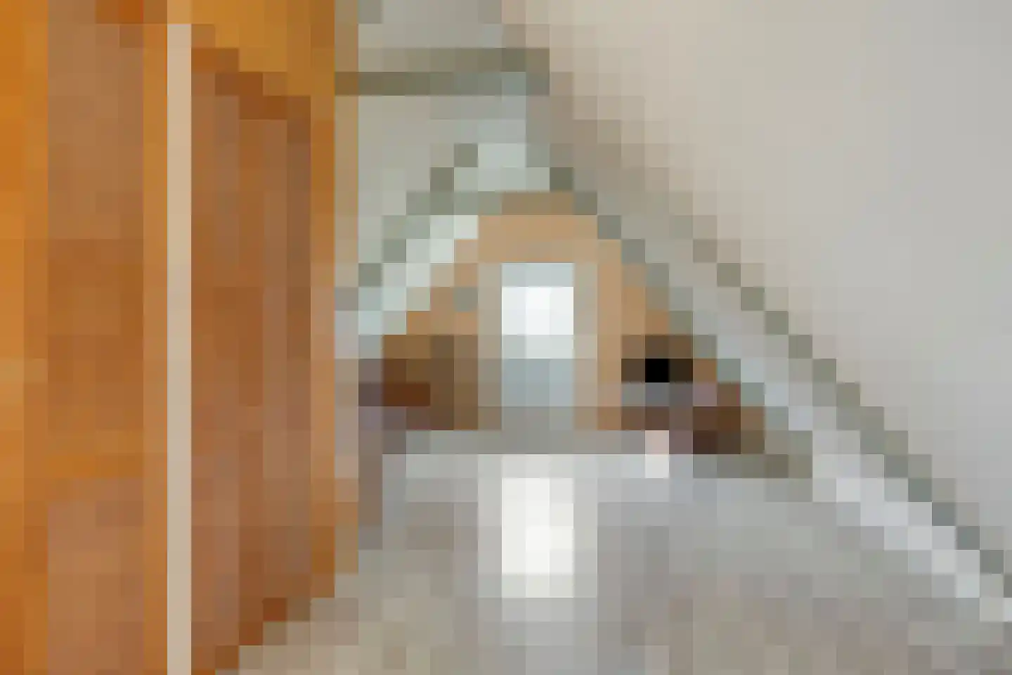 De Kamp 14 Pingjum thumbnail 22