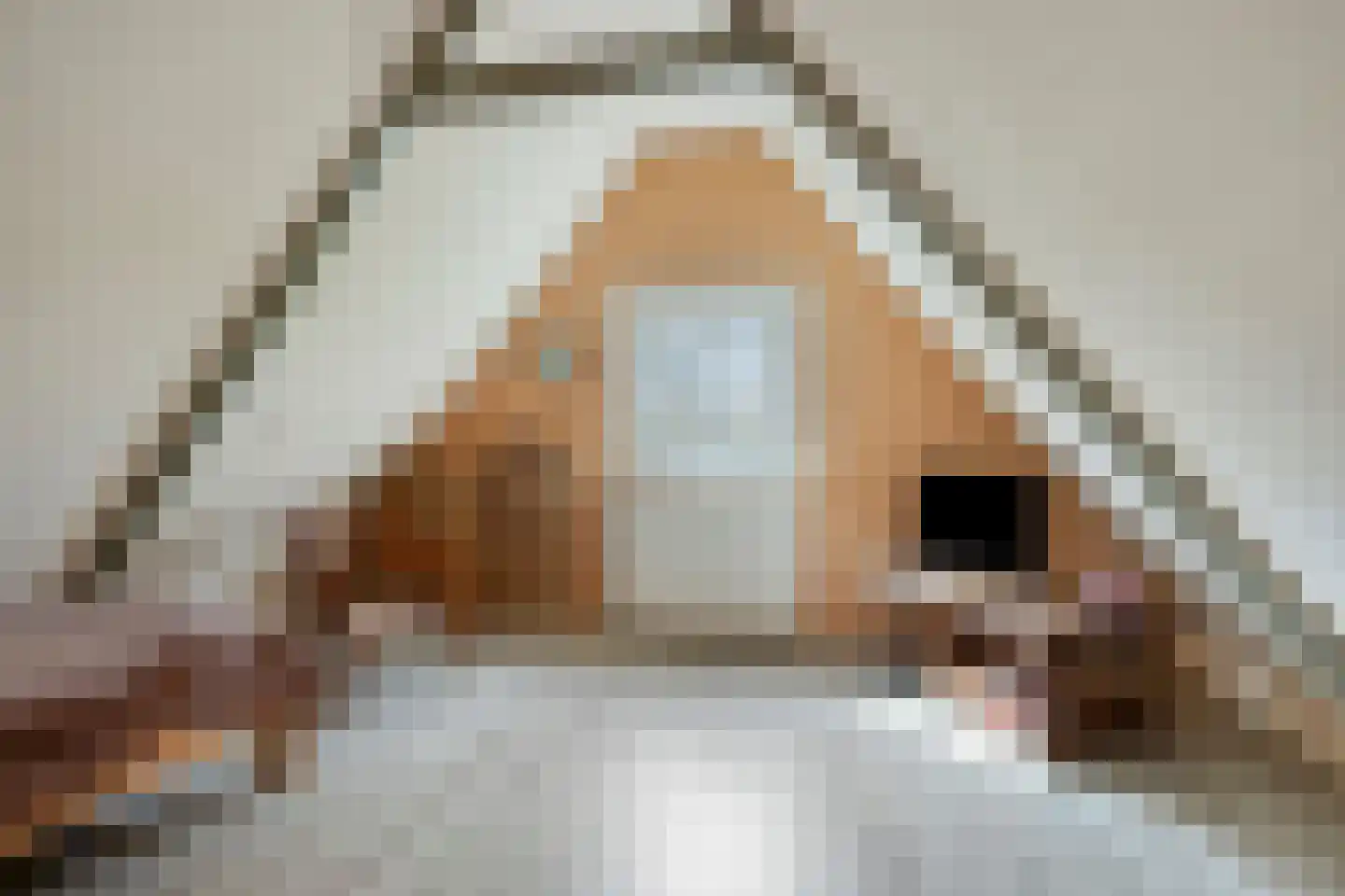 De Kamp 14 Pingjum thumbnail 23