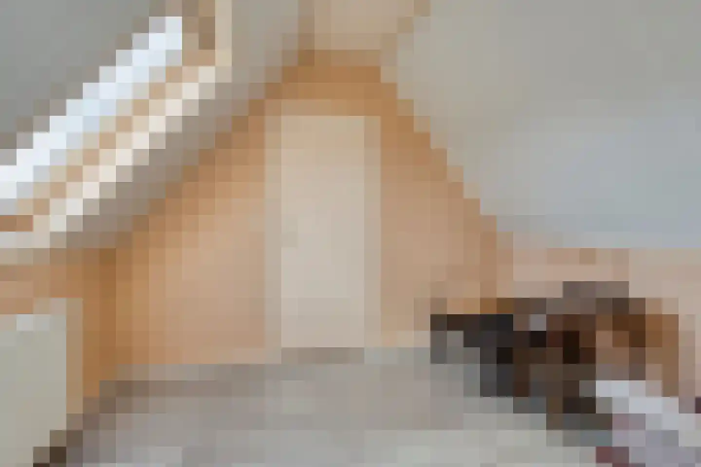 De Kamp 14 Pingjum thumbnail 26