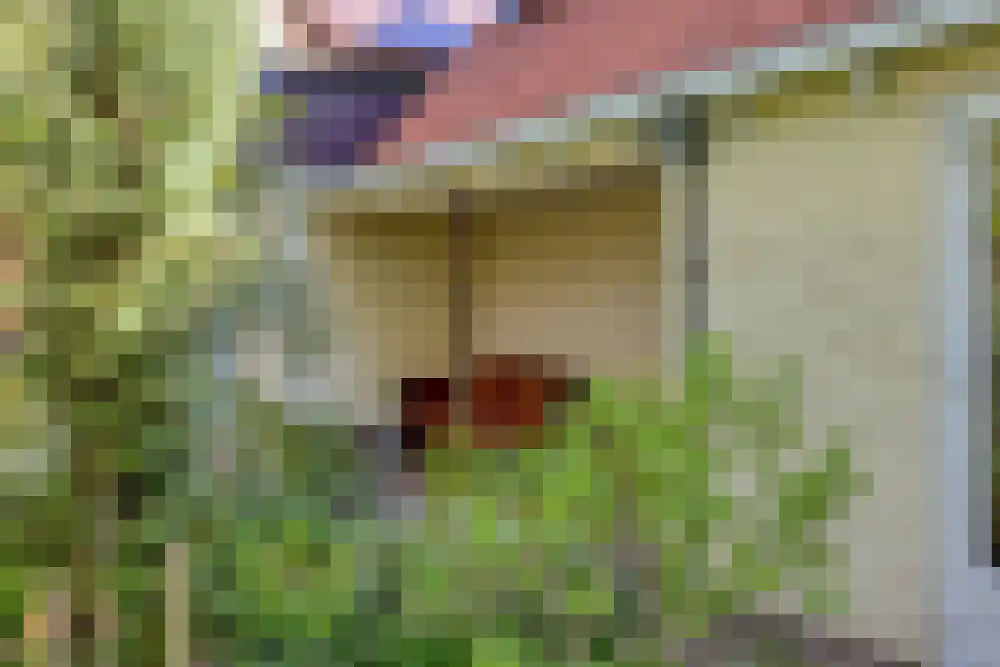 De Kamp 14 Pingjum thumbnail 27