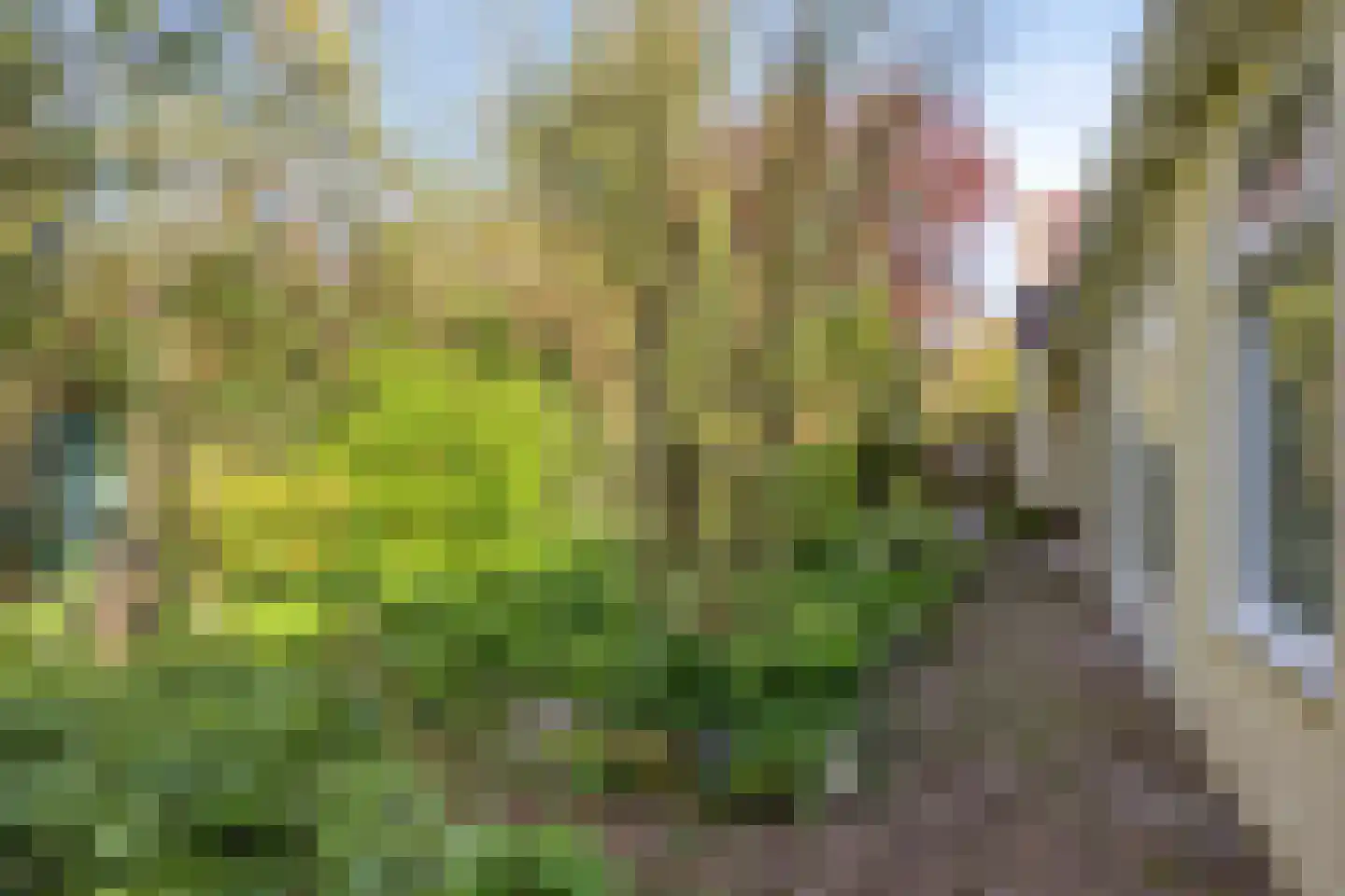 De Kamp 14 Pingjum thumbnail 28