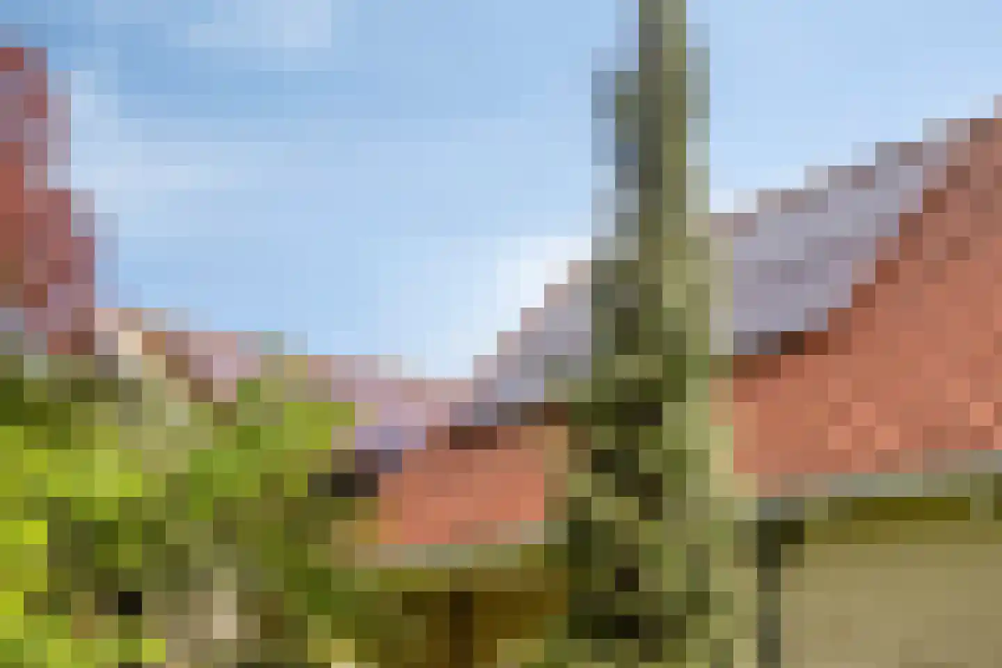 De Kamp 14 Pingjum thumbnail 32