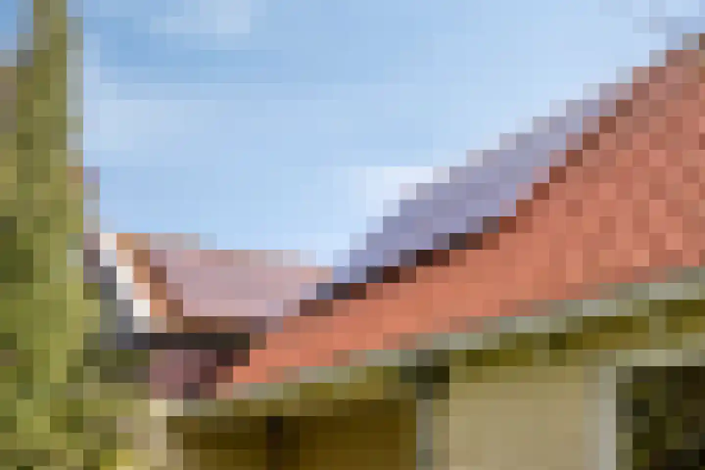 De Kamp 14 Pingjum thumbnail 33
