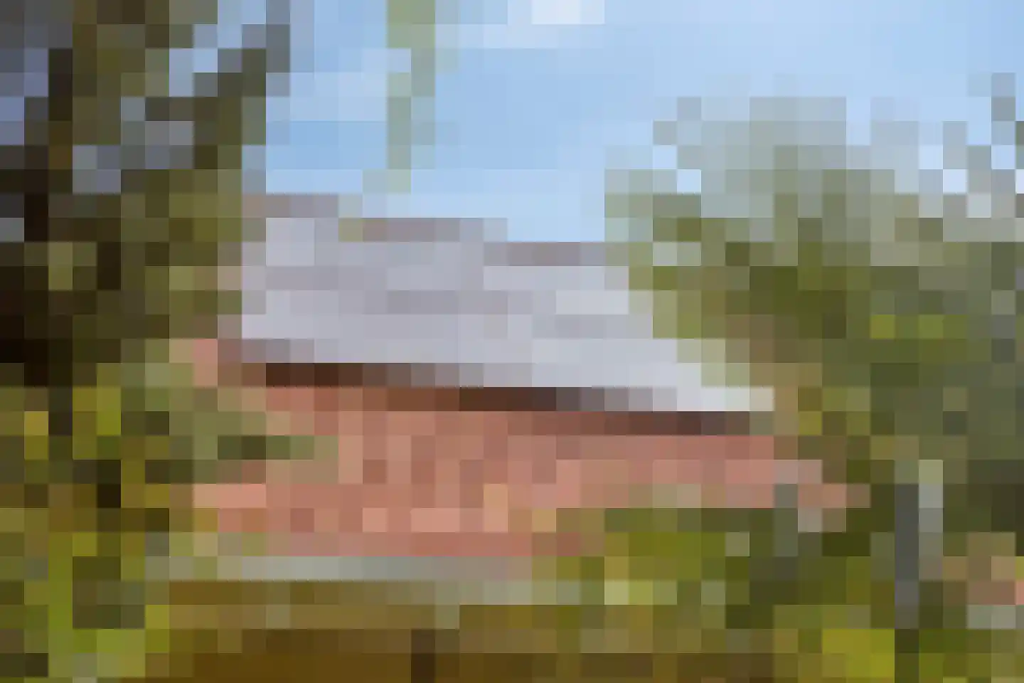 De Kamp 14 Pingjum thumbnail 34