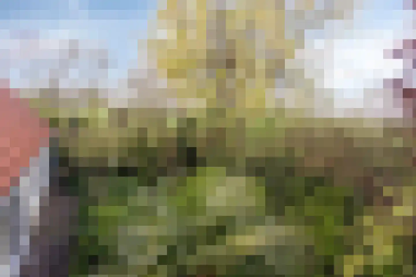 De Kamp 14 Pingjum thumbnail 35