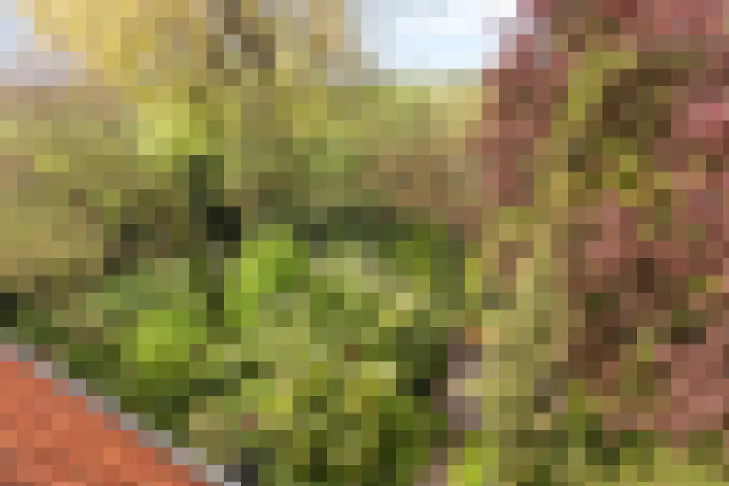 De Kamp 14 Pingjum thumbnail 36