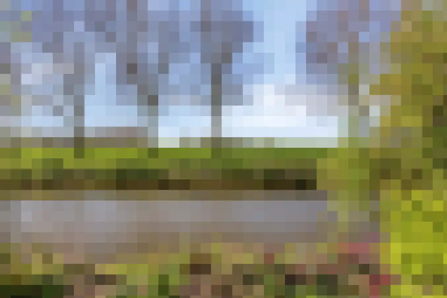 De Kamp 14 Pingjum thumbnail 38