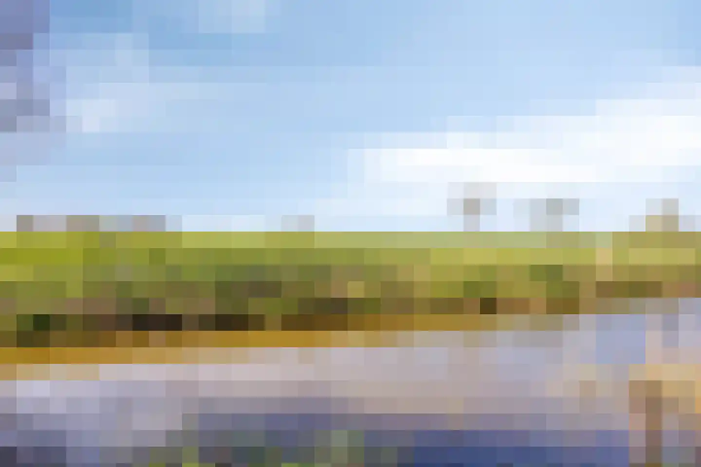 De Kamp 14 Pingjum thumbnail 40