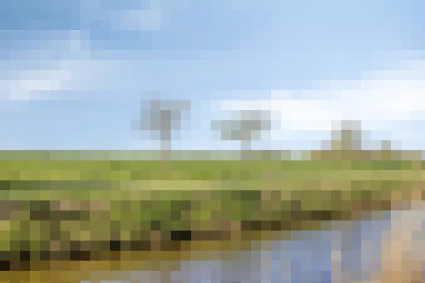 De Kamp 14 Pingjum thumbnail 41