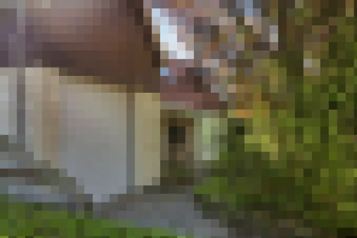 De Kamp 14 Pingjum thumbnail 5