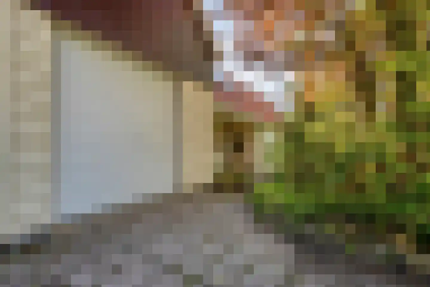 De Kamp 14 Pingjum thumbnail 7