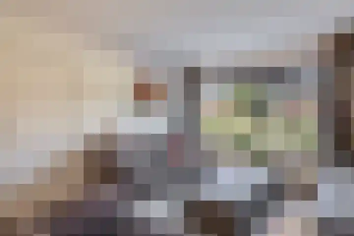 De Kamp 15 Drachten thumbnail 10