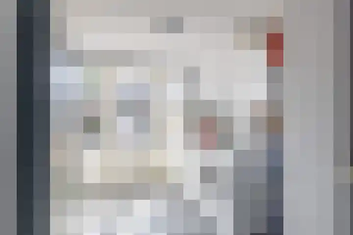 De Kamp 15 Drachten thumbnail 20