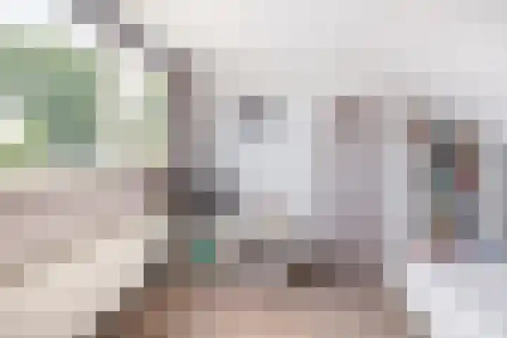 De Kamp 15 Drachten thumbnail 30