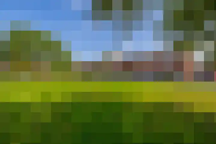 De Kamp 15 Drachten thumbnail 34