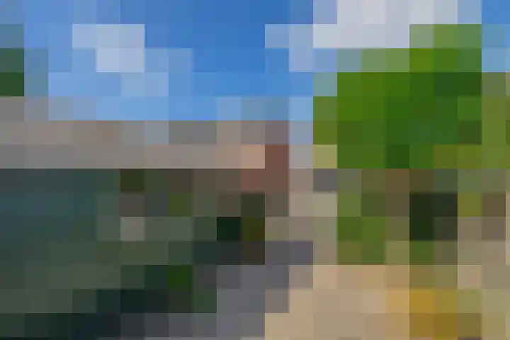 De Kamp 15 Drachten thumbnail 36