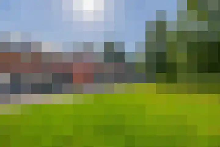 De Kamp 15 Drachten thumbnail 43