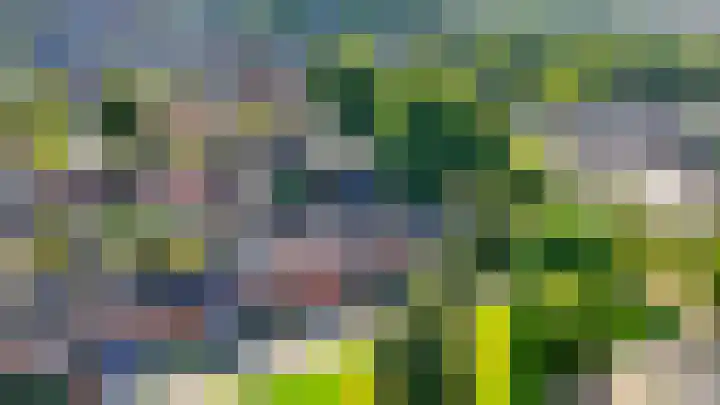 De Kamp 15 Drachten thumbnail 48
