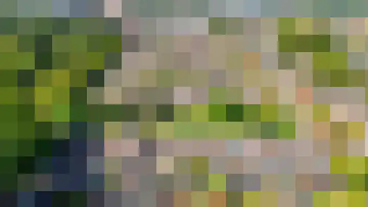 De Kamp 15 Drachten thumbnail 50