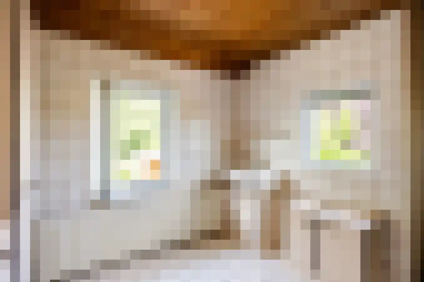 De Kamp 18 Nieuwolda thumbnail 31