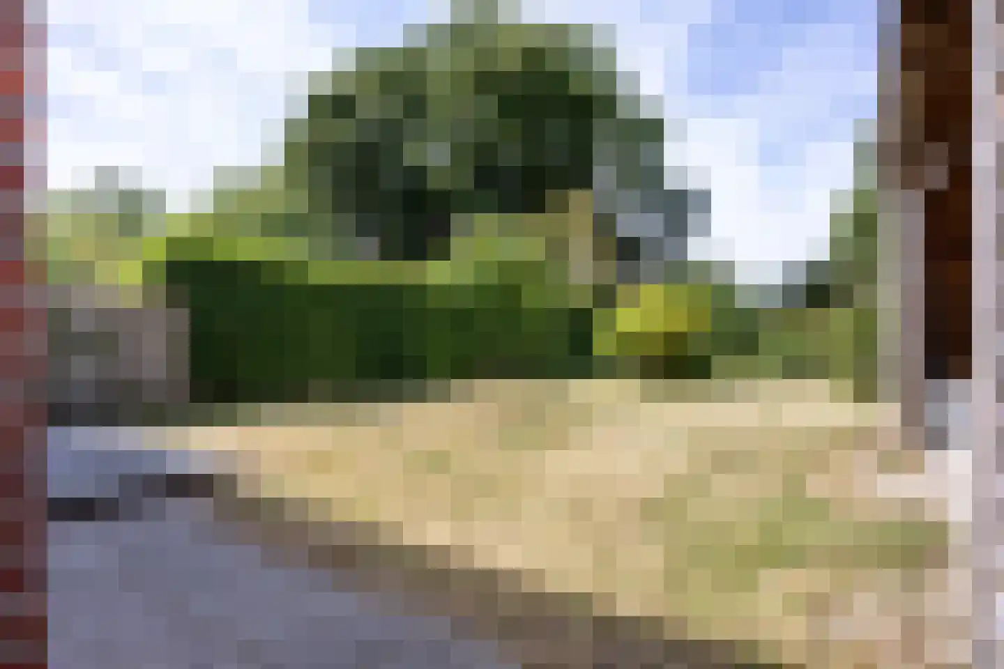 De Kamp 18 Nieuwolda thumbnail 33