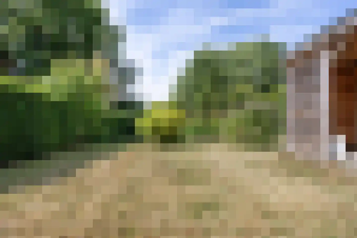 De Kamp 18 Nieuwolda thumbnail 34