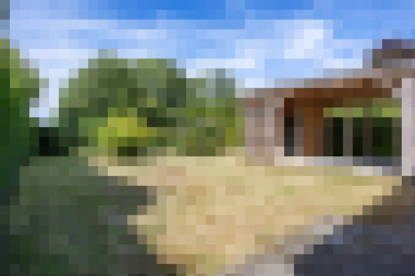 De Kamp 18 Nieuwolda thumbnail 35