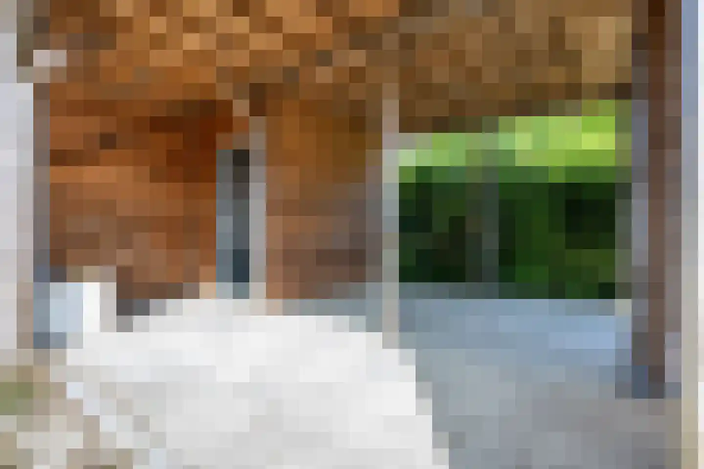 De Kamp 18 Nieuwolda thumbnail 36