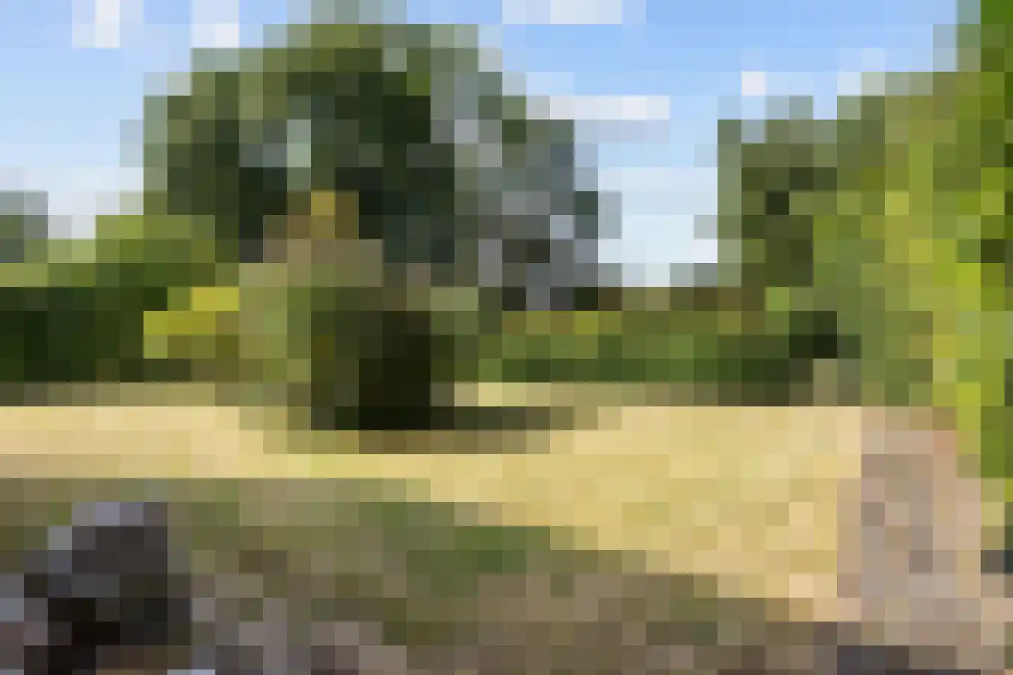 De Kamp 18 Nieuwolda thumbnail 39