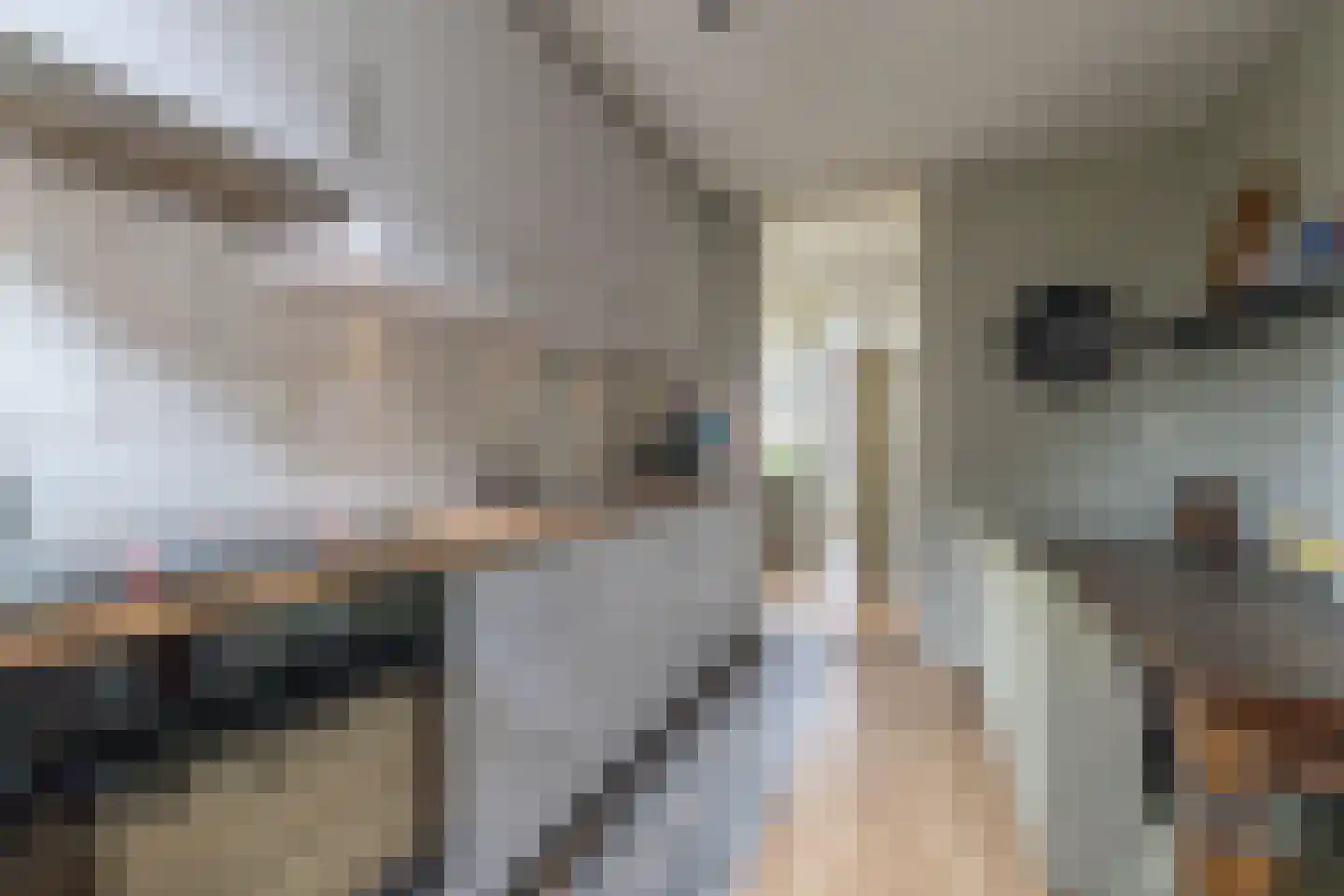 De Kamp 19 Moddergat thumbnail 12
