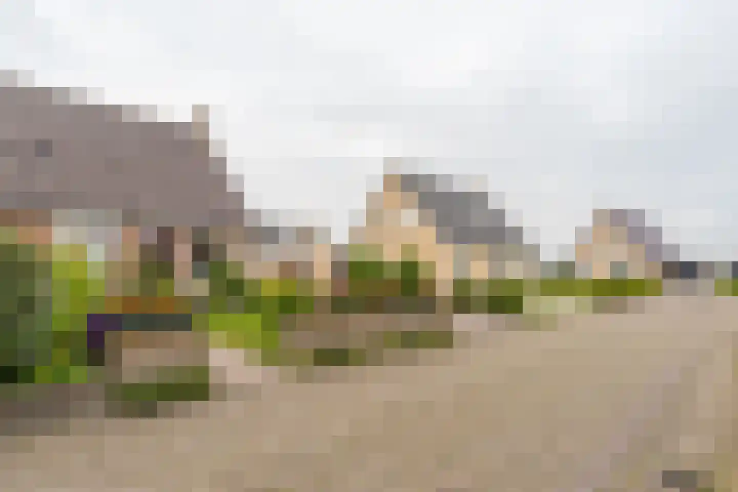 De Kamp 19 Moddergat foto 2