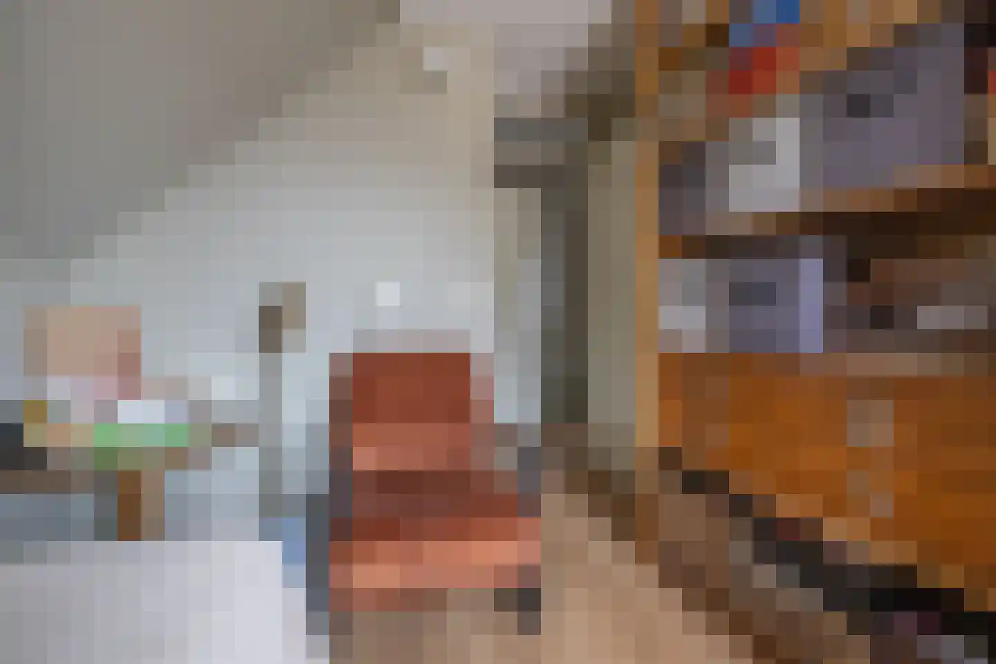De Kamp 19 Moddergat thumbnail 22