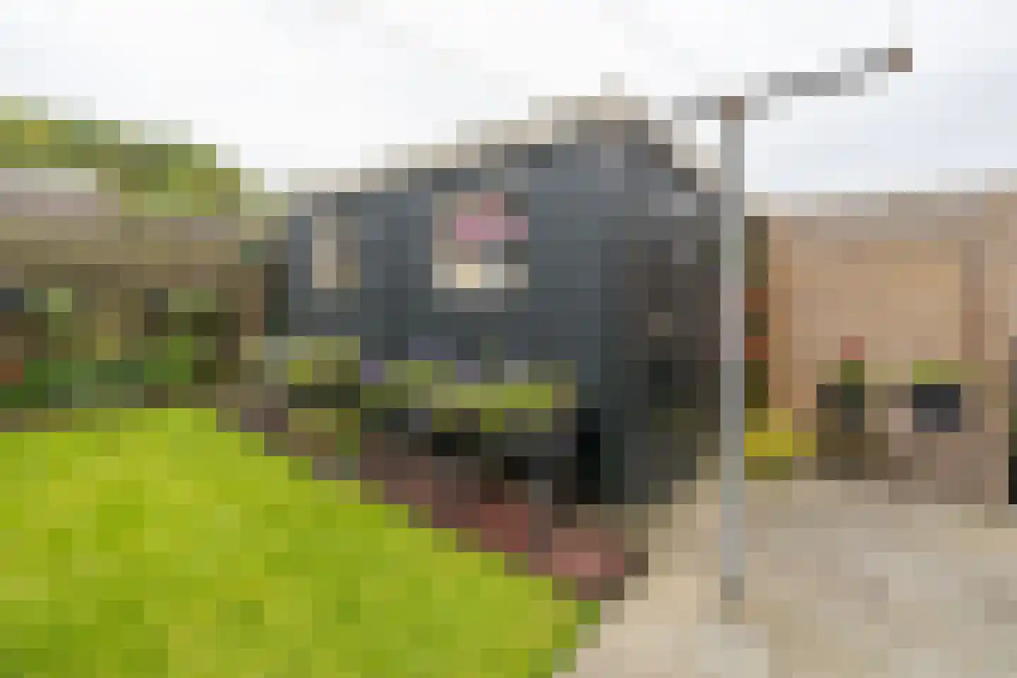 De Kamp 19 Moddergat thumbnail 34