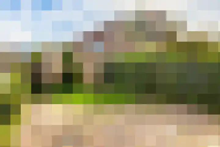De Kamp 19 Velserbroek thumbnail 23
