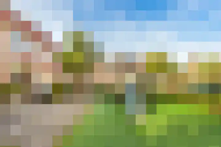 De Kamp 19 Velserbroek thumbnail 26