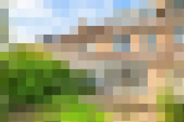 De Kamp 19 Velserbroek thumbnail 28