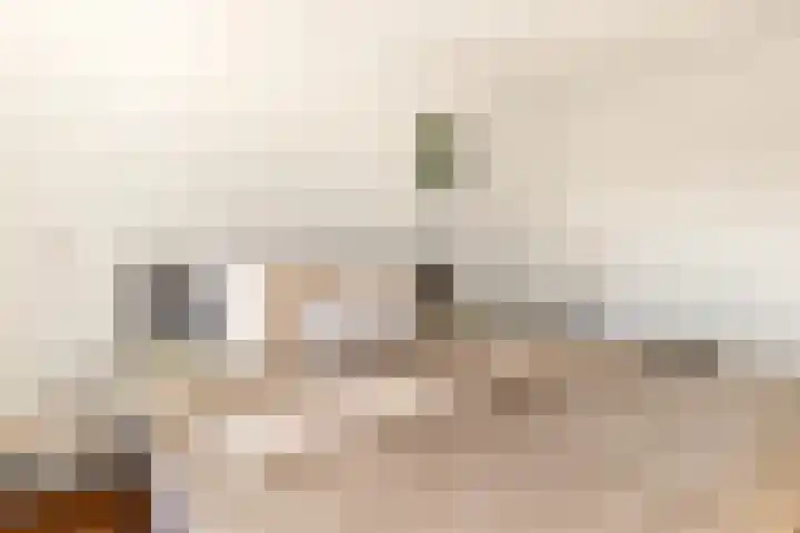 De Kamp 19 Velserbroek thumbnail 31