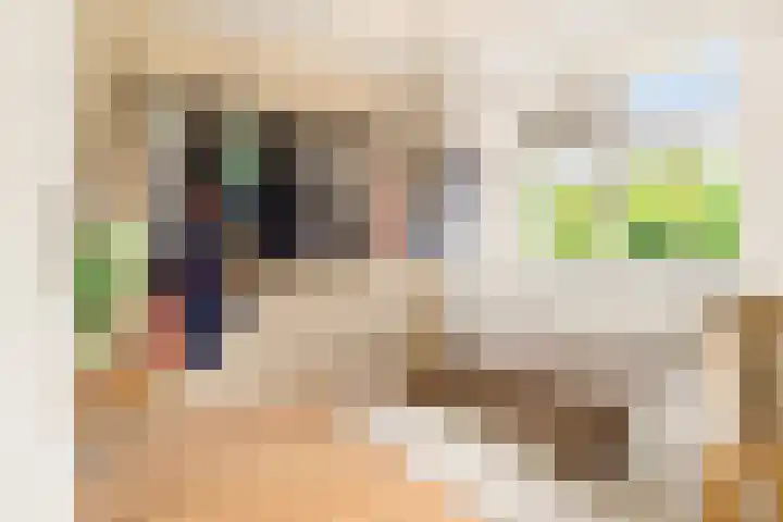 De Kamp 19 Velserbroek thumbnail 33