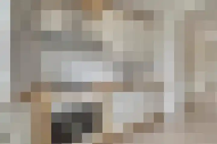 De Kamp 2 Millingen aan de Rijn thumbnail 10